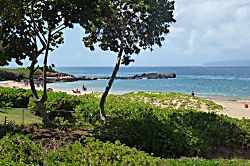 Kihei Akahi DG14