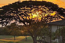 Kapalua Golf Villas 25P1-2