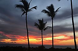 Wailea Ekolu Building 7