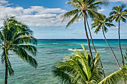 501 Diamond Head Beach Hotel