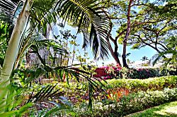 Kihei Kai Nani 130