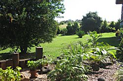 Garden house hideaway - Property grounds
