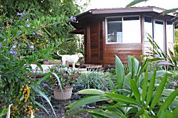 Garden house hideaway - Property grounds