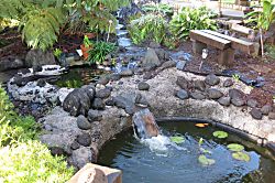 Garden house hideaway - Property grounds