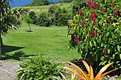 Garden house hideaway - Property grounds