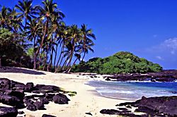 Konashore211 - Beach nearby, beach towels