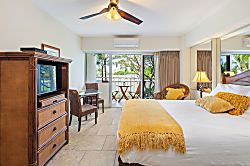 Waikiki Banyan for 2