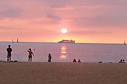 Waikiki Banyan for 2