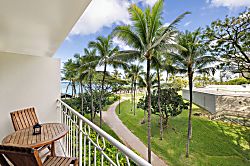 Waikiki Banyan for 2