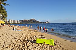 Waikiki Banyan for 2