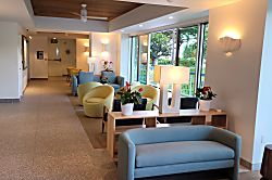 Waikiki Banyan for 2