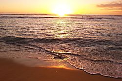 Waikiki Banyan for 2