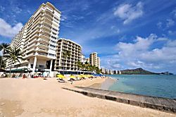 Waikiki Banyan for 2
