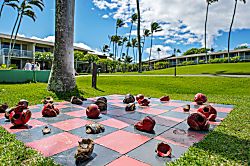 C217 Napili Shores Resort