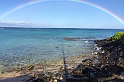 C217 Napili Shores Resort
