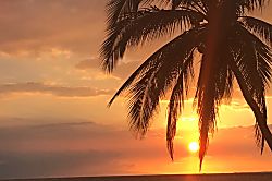 Kihei Paradise Condo Near Charley Young Beach