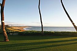 Menehune Shores  2 Bedroom Oceanfront Unit - Property grounds