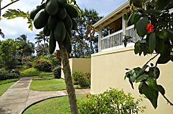 Kuilima Estates 20 East