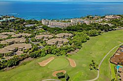 Ho'olei Luxury Villa 17-1