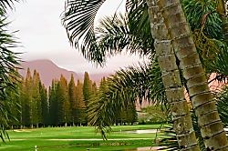 Kaua'i Paradise