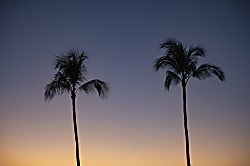 Mauna Kea Villas #13