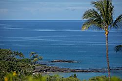 Mauna Kea Villas #13