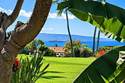 Wailea Ekolu 1505