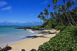 Wailea Ekolu 1505