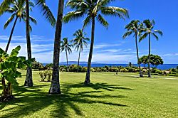 Wailea Ekolu 1505