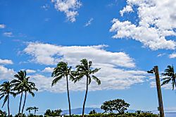 Wailea Ekolu 1505