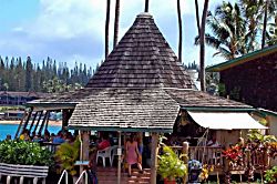 Napili Shores Resort F-245