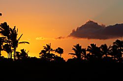 Hawaii Blue Villa
