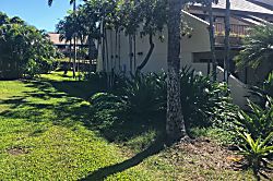 Maui Kamaole Resort Condo with Garden View
