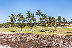 Shores at Waikoloa Unit 14