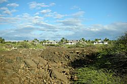 Palm Villas Ground Floor Condo