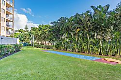 Royal Kahana 604