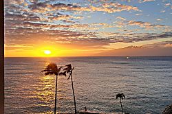 Royal Kahana 604
