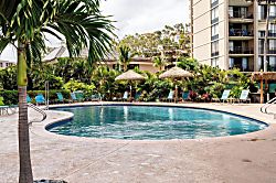 Royal Kahana 604