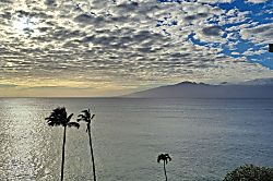 Royal Kahana 604