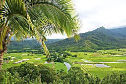 Waipouli Beach Resort Unit 2nd Floor