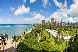 Waikiki Shore #704