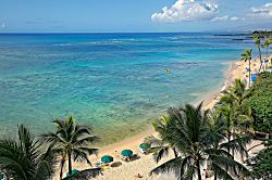 Waikiki Shore #702