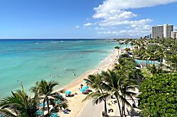 Waikiki Shore #702