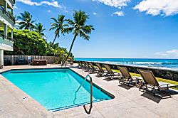 Banyan Tree 200