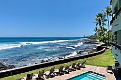 Banyan Tree 200