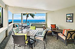Banyan Tree 200