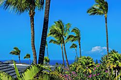 Wailea Grand Champions 50