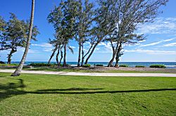 Islander on the Beach 131