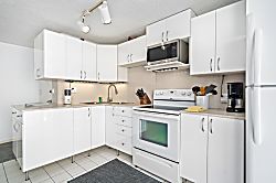 Waikiki Beach 1 Bedroom Condo