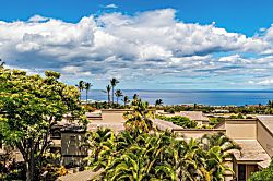 Wailea Ekolu #1308